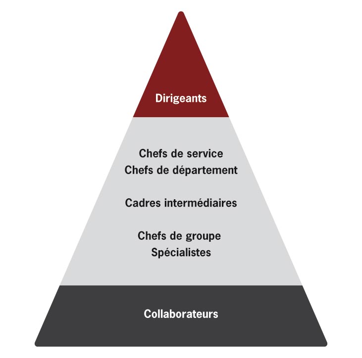 Domaines d'intervention